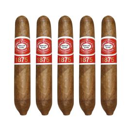pack of 5