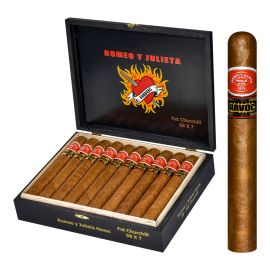 box of 20