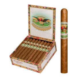 box of 25