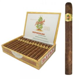 box of 25