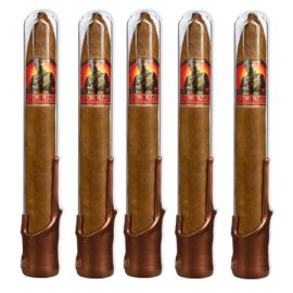 pack of 5