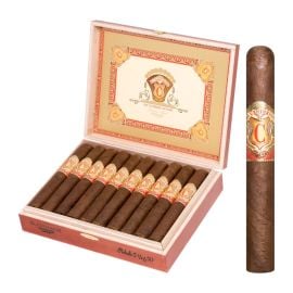 box of 20