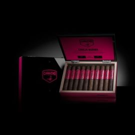 box of 20