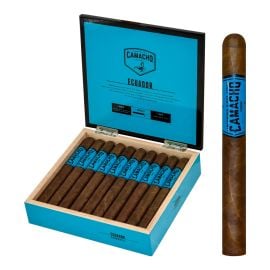 box of 20