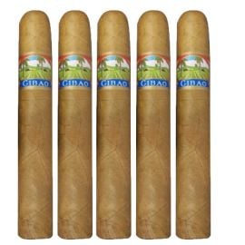 pack of 5
