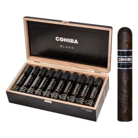 box of 20