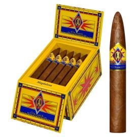 box of 20