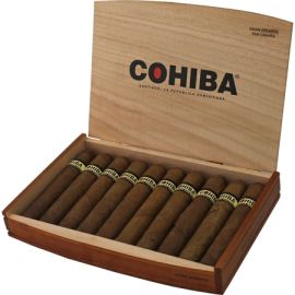 box of 10