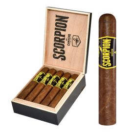box of 10
