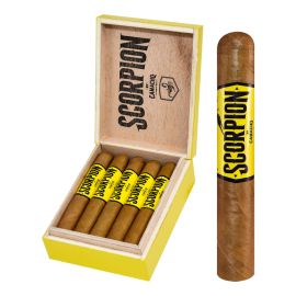 box of 10