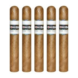 pack of 5
