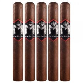 pack of 5
