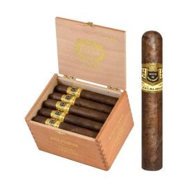 box of 20
