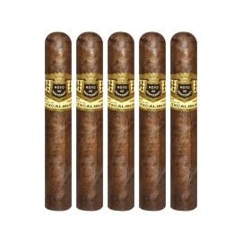pack of 5