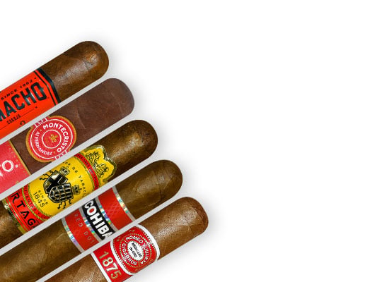 Sampler