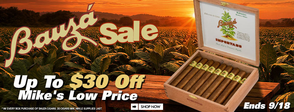 Bauza Sale