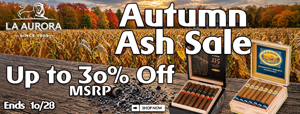 La Aurora Autumn Ash Sale